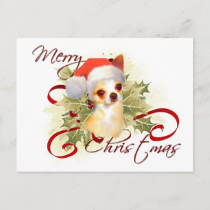 Chihuahua Weihnachtspostkarte Feiertagspostkarte
