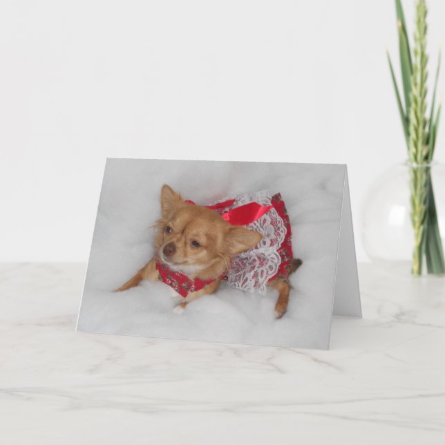Chihuahua Weihnachtswunder Feiertagskarte (Vorderseite)