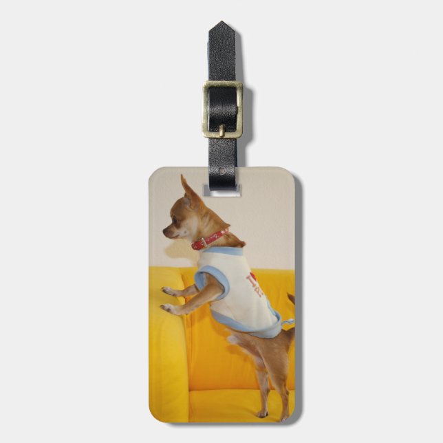 Chihuahua Welpe auf dem gelben Sofa Gepäckanhänger (Vorderseite vertikal)