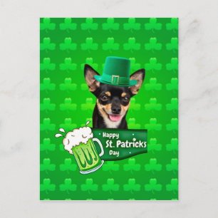 Chihuahua Welpe Dog St. Patrick's Day Green Clover Postkarte