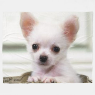 CHIHUAHUA-WELPE FLEECEDECKE