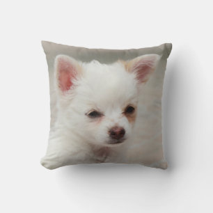 Chihuahua-Welpe im Garten Kissen