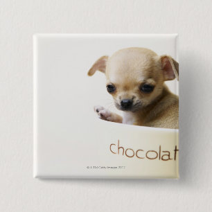 Chihuahua-Welpe in Schüssel (zugeschnitten) Button