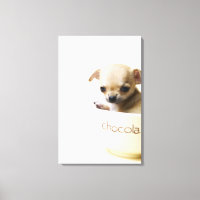Chihuahua-Welpe in Schüssel (zugeschnitten)