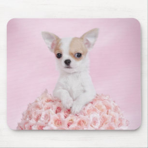 Chihuahua-Welpe Mousepad