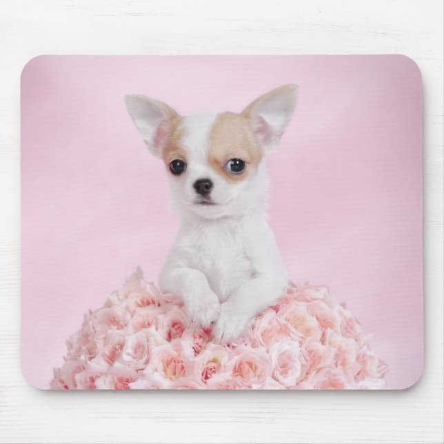 Chihuahua-Welpe Mousepad (Vorne)