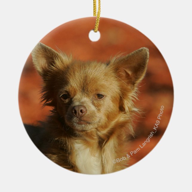 Chihuahua-WelpeHeadshot Keramikornament (Vorne)
