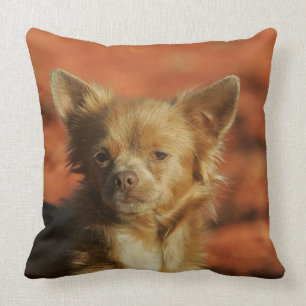 Chihuahua-WelpeHeadshot Kissen