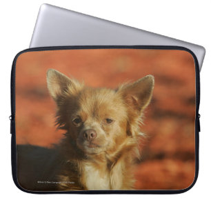 Chihuahua-WelpeHeadshot Laptopschutzhülle