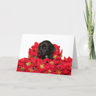 Chihuahua-Welpen Feiertagskarte