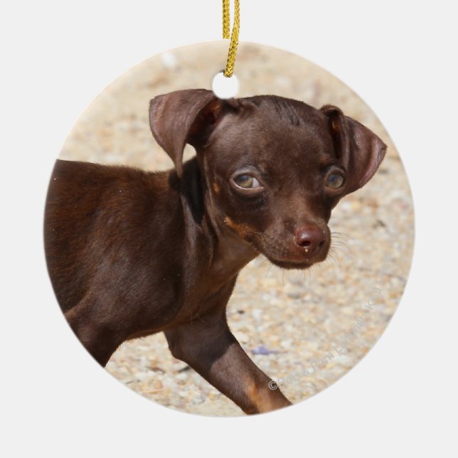 Chihuahua-Welpen-Gehen Keramikornament (Vorne)