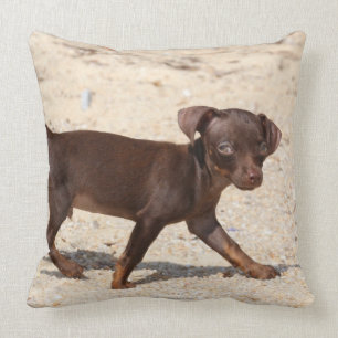 Chihuahua-Welpen-Gehen Kissen