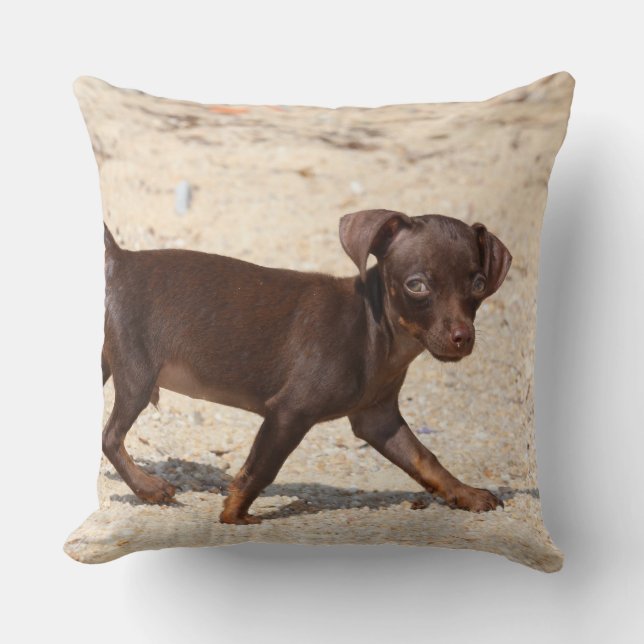 Chihuahua-Welpen-Gehen Kissen (Vorderseite)