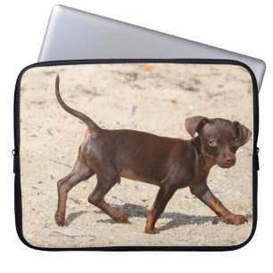 Chihuahua-Welpen-Gehen Laptopschutzhülle