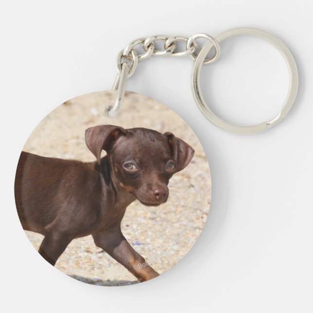 Chihuahua-Welpen-Gehen Schlüsselanhänger (Rückseite)