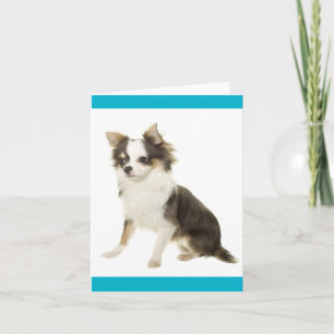 Chihuahua-Welpen-Hund Blanko-Grußkarte Karte