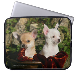 Chihuahua-Welpen Laptopschutzhülle