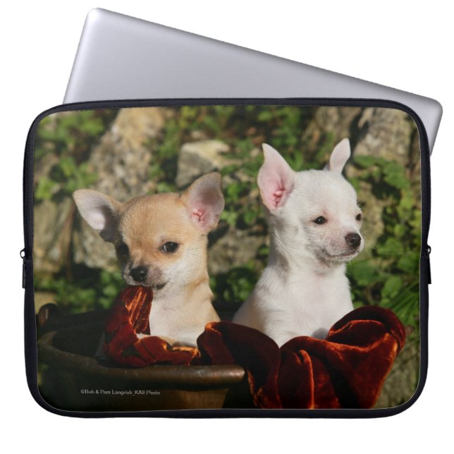 Chihuahua-Welpen Laptopschutzhülle (Vorderseite)