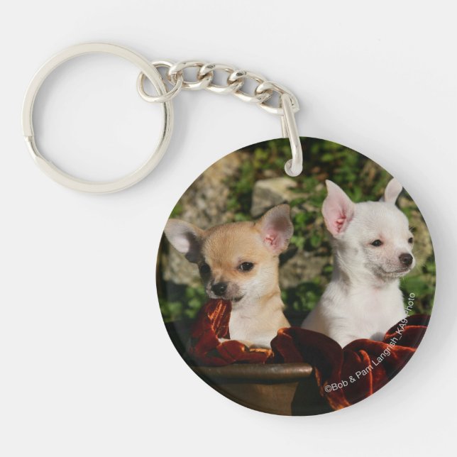 Chihuahua-Welpen Schlüsselanhänger (Vorderseite)