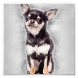 Chihuahua-Welpen-Sitzend   Süße Tier-Dekoration Fotodruck