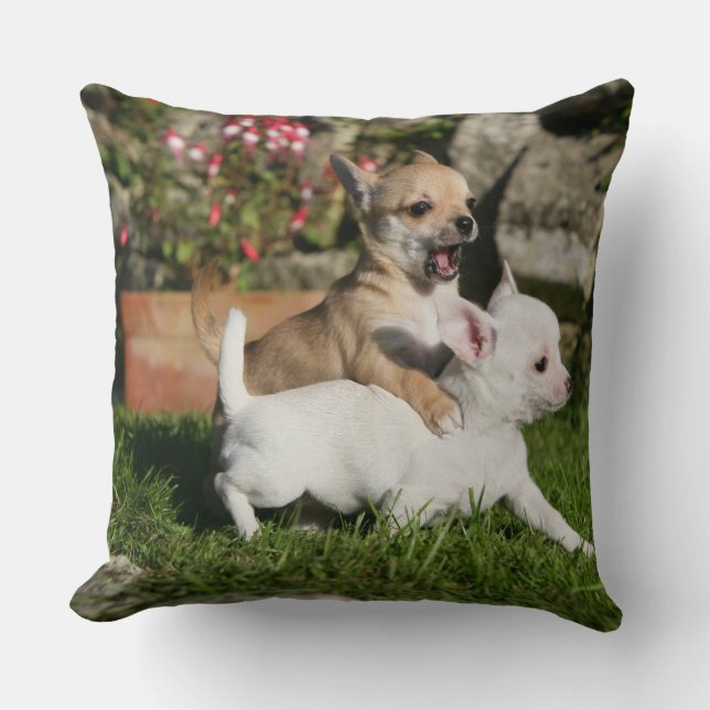 Chihuahua-Welpen-Spielen Kissen (Vorderseite)