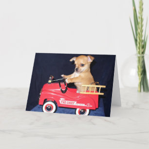 Chihuahua-Welpengrüßkarte Karte