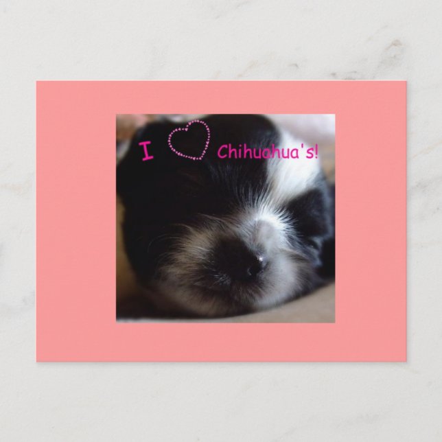 Chihuahua-Welpenpostkarte Postkarte (Vorderseite)