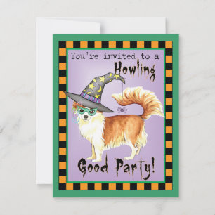 Chihuahua Witch Einladung