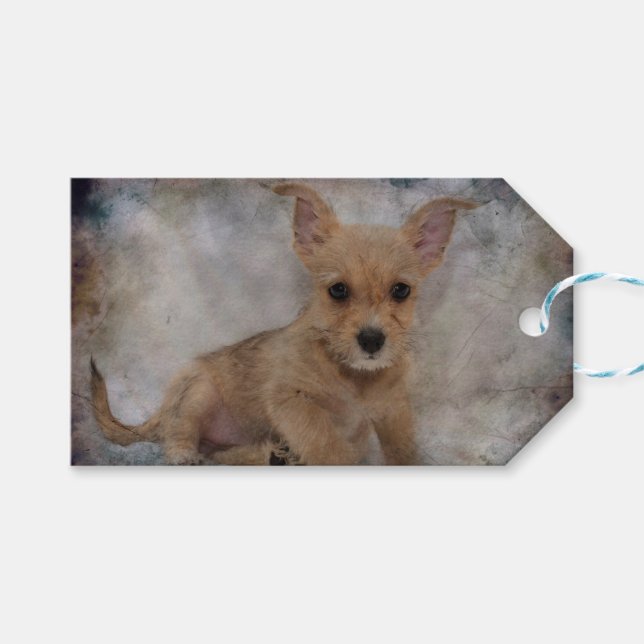 Chihuahua/Yorkie Puppy Geschenkanhänger (Vorderseite (Horizontal))