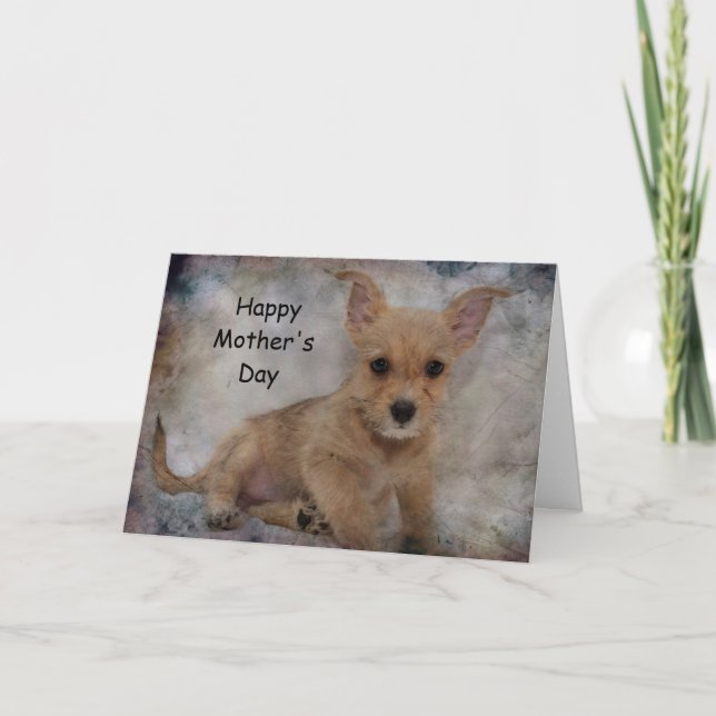 Chihuahua/Yorkie Puppy Karte (Vorderseite)
