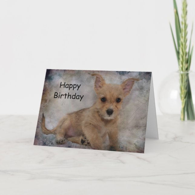 Chihuahua/Yorkie Puppy Karte (Vorderseite)