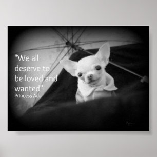 Chihuahuaanerkennung Poster