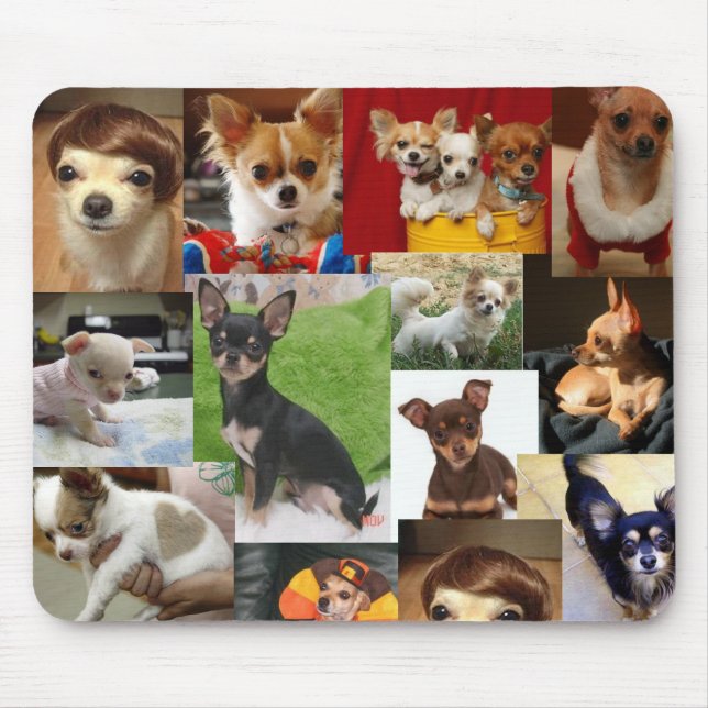 Chihuahuaauflage Mousepad (Vorne)