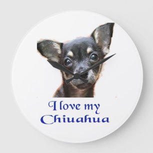 Chihuahuageschenke Große Wanduhr