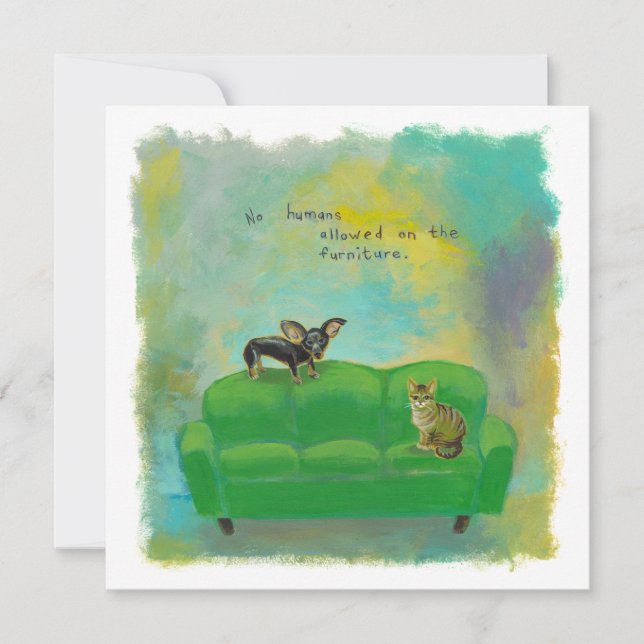 Chihuahuahund und -katze auf einladung (Vorderseite)