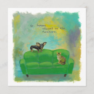 Chihuahuahund und -katze auf einladung