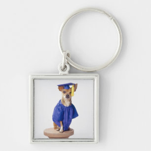 Chihuahuahundetragende Abschlussuniform, Studio Schlüsselanhänger