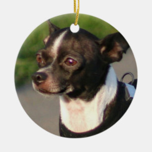 Chihuahuahundeverzierung Keramikornament