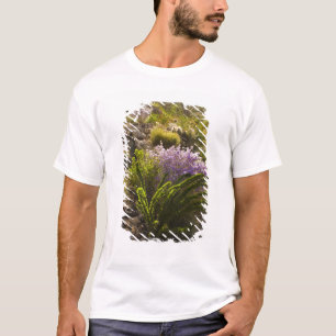 Chihuahuan-Wüstenpflanzen in Blüte T-Shirt