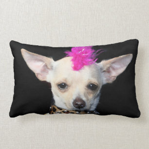 Chihuahuapunkhundamerikaner Mojo Lumbarkissen Lendenkissen