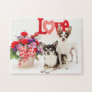 Chihuahuas, Blume und Liebe