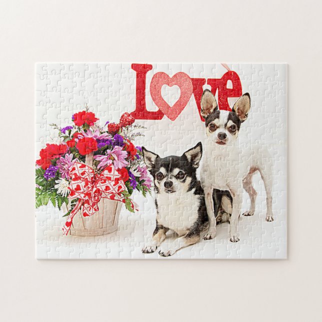 Chihuahuas, Blume und Liebe (Horizontal)