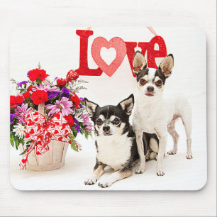 Chihuahuas, Blume und Liebe Mousepad