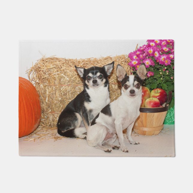Chihuahuas im Fall Fußmatte (Vorderseite)