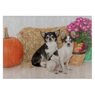 Chihuahuas im Fall Schneidebrett