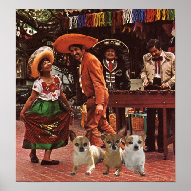 Chihuahuas Poster 3 Amigos (Vorne)