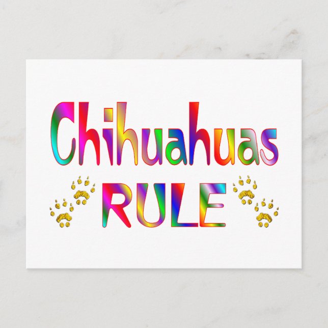 Chihuahuas Rule Postkarte (Vorderseite)