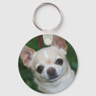 Chihuahuas Schlüsselanhänger