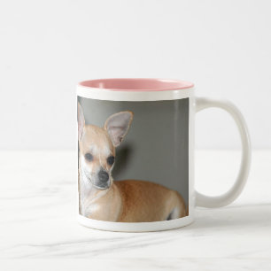 Chihuahuas sind die besten zweifarbige tasse