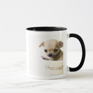 Chihuahuawelpe in der Schüssel (geerntet) Tasse